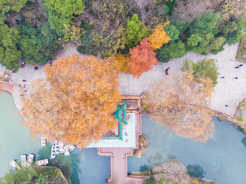湖北武漢中山公園深秋初冬航拍風
