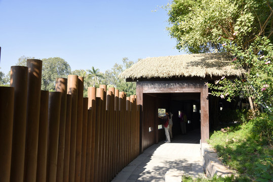 濕地公園觀鳥長廊