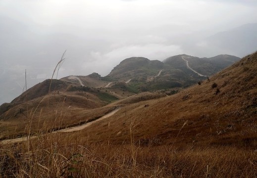 大南山秋色