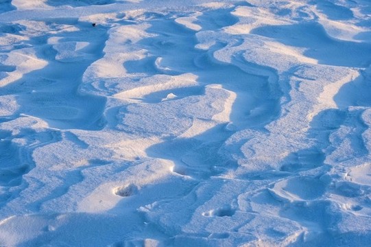 積雪