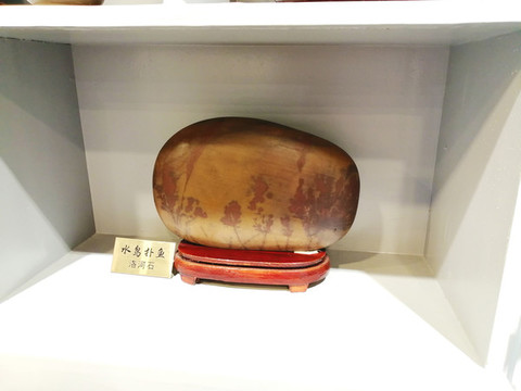 水鳥(niǎo)捕魚(yú)奇石