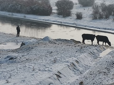 牧場