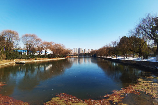 公園冰凍湖面