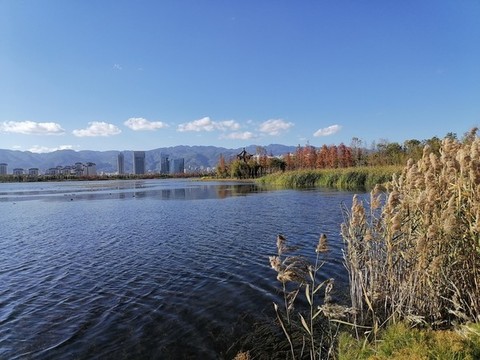 藍色湖