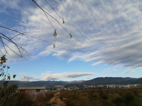 田野天空