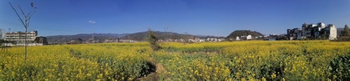 田園風(fēng)光