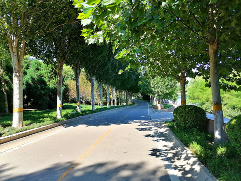 騎行步道