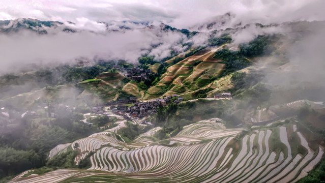 霧鎖梯田