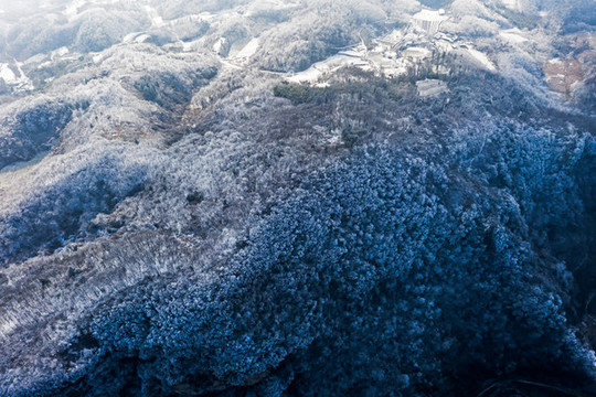冬季雪景