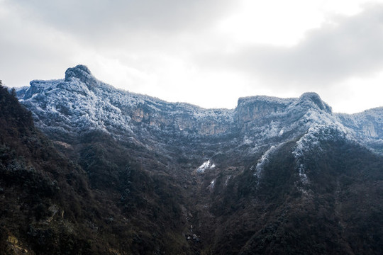 冬季雪景