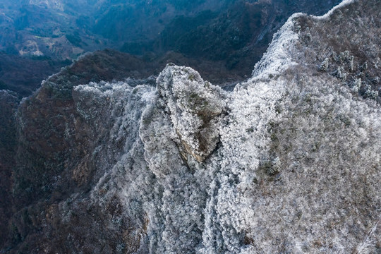 冬季雪景