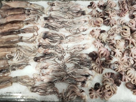 海鮮水產(chǎn)