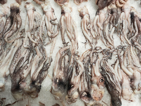 魷魚(yú)