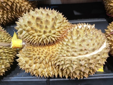進(jìn)口榴蓮