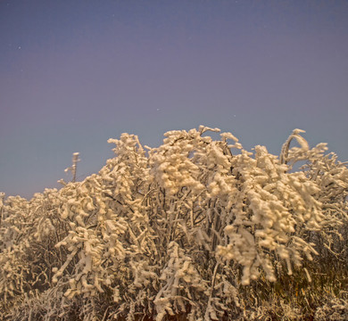 五峰獨(dú)嶺雪景