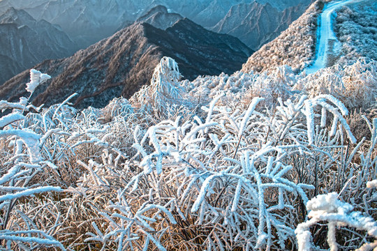 五峰獨嶺雪景