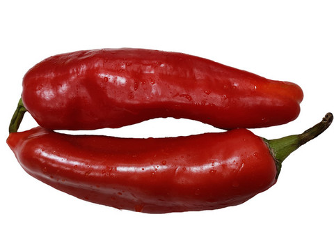 菜椒
