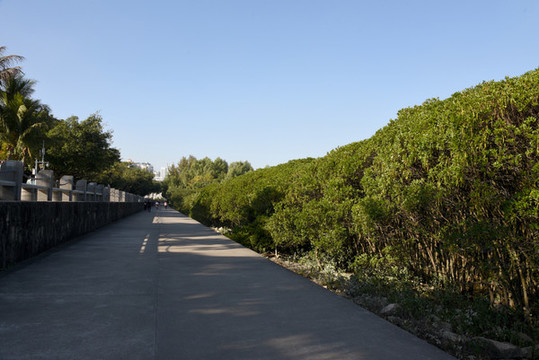 深圳灣紅樹林保護區(qū)