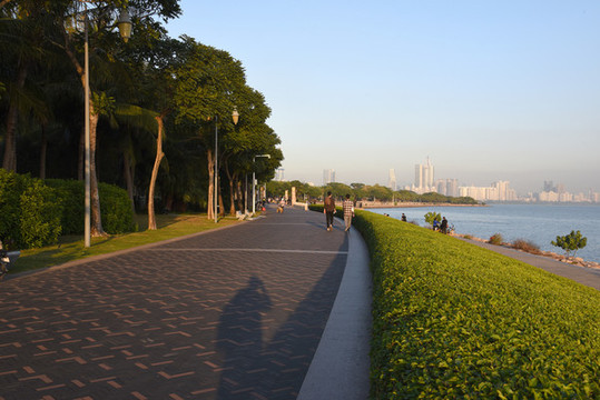 深圳灣生態(tài)公園