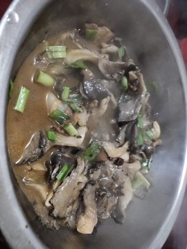 平茹