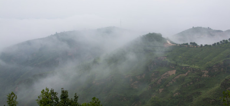 霧景