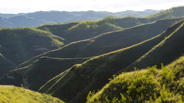 黃土高原地貌