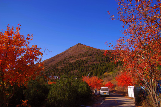 舞彩淺山