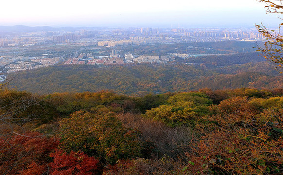 紫金山頂?shù)慕^色風(fēng)光