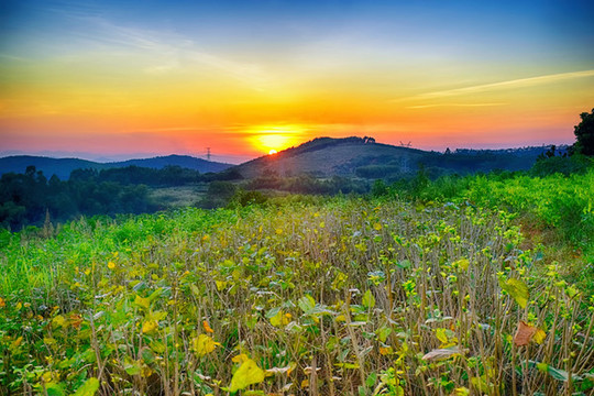 夕陽日落