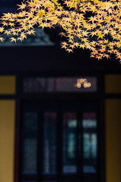 杭州凈慈寺秋色