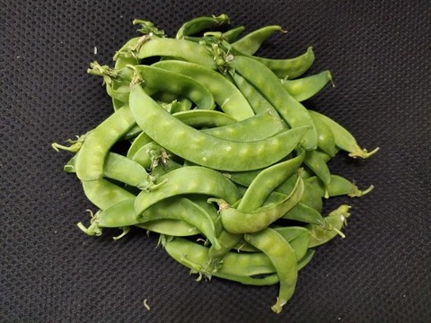豌豆莢