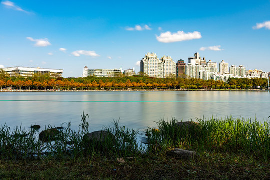 上海世紀(jì)公園湖泊倒影