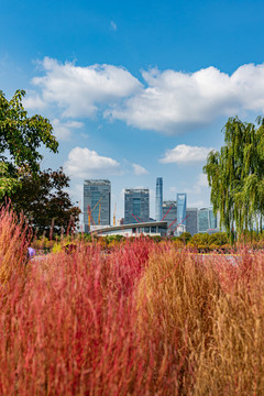 上海世紀(jì)公園