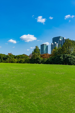 上海世紀公園草坪