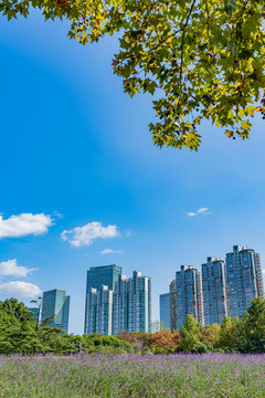 上海世紀(jì)公園