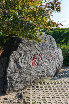 上海世紀(jì)公園