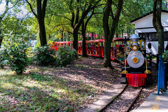 上海共青森林公園小火車(chē)