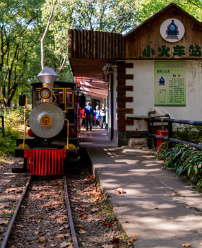 上海共青森林公園小火車
