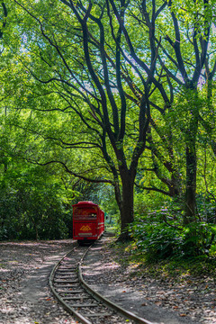 上海共青森林公園小火車