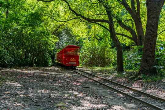 上海共青森林公園小火車