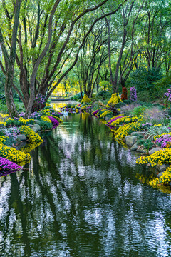 上海共青森林公園