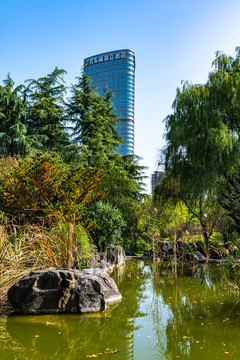 上海汽車博覽公園秋天
