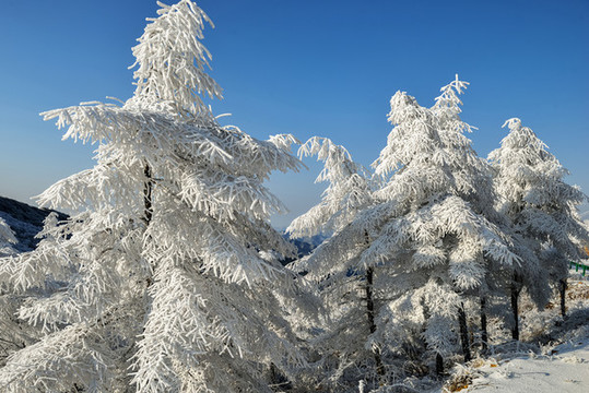 五峰獨(dú)嶺雪景