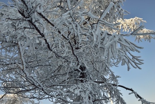 五峰獨嶺雪景