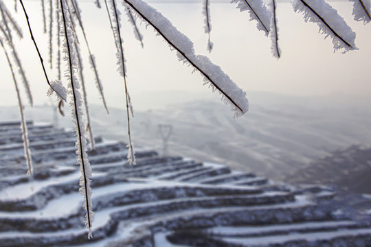 雪景
