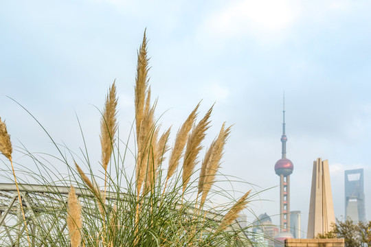 上海風(fēng)景