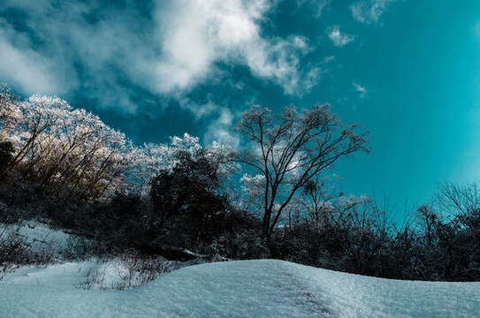 天燕的雪