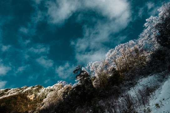 天燕雪季