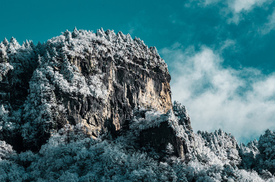 天燕雪季