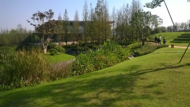 園林景觀草地